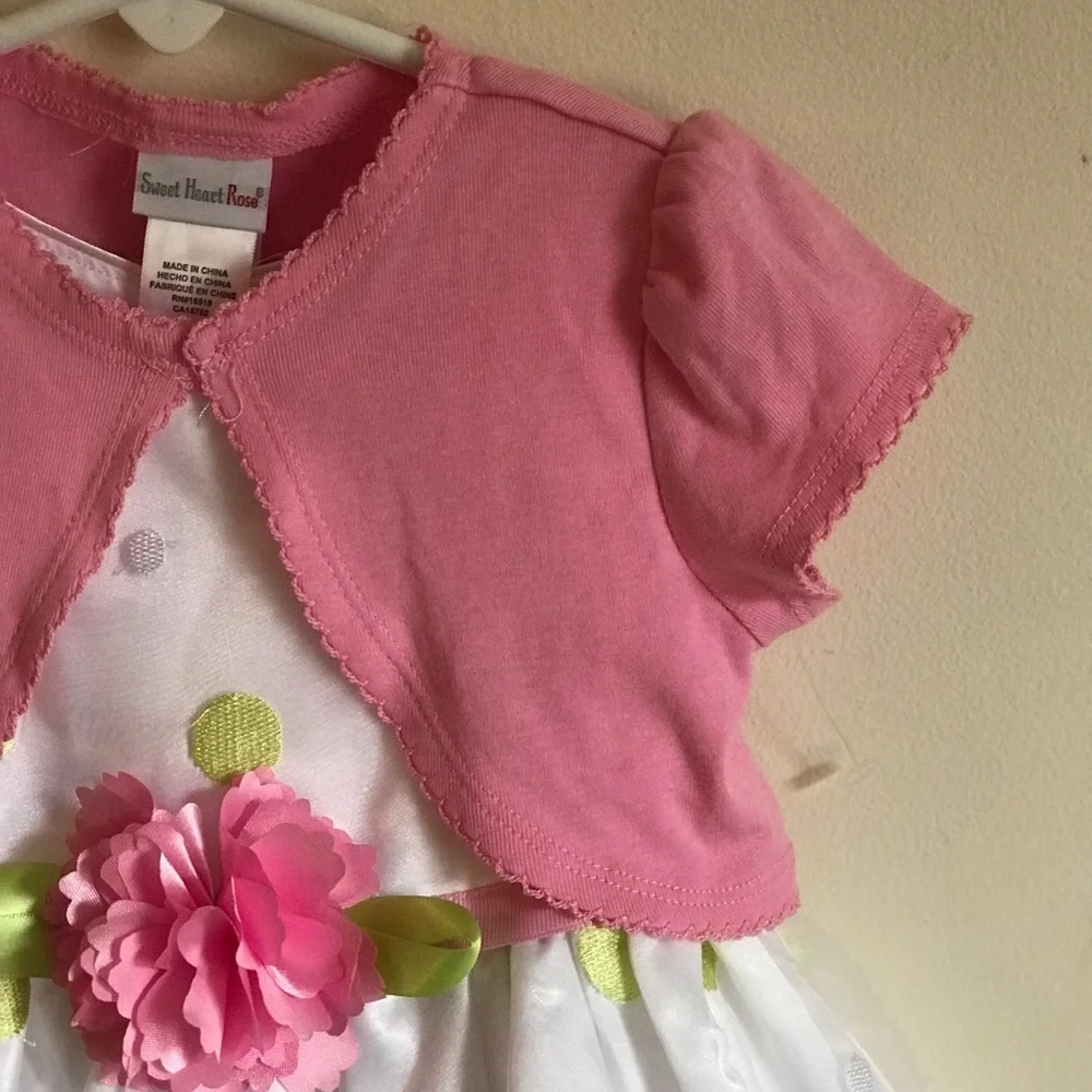 New Sweet Heart Rose Toddler Dress 2T